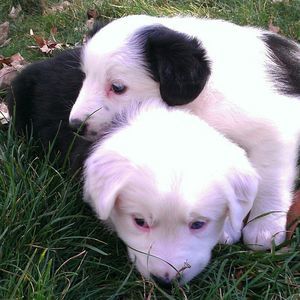 Meet your Posher, Wendy